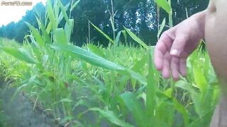 wanking in the cornfield and cumming in the woods
