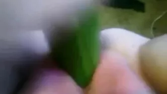 Chubby amateur masturbates