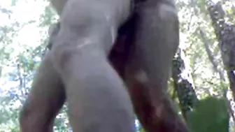 Outdoor Fuck, Wank & Cum