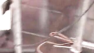 Master Serpent juggs 15