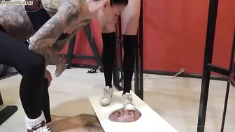 Adidas stan smith worship - Spitting, Trampling, Shoe Worship, Babe, Fetish, Hardcor