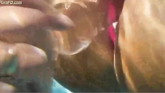 2 Huehner im Pool auf Mallorca