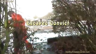 ballbusting 3
