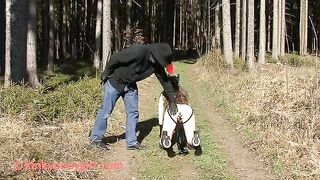 KINKY PONYGIRL - In the Aying Forest