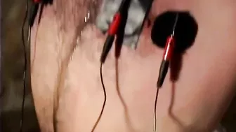 CaptiveMale - 136 Harmony, Oscar Beyer