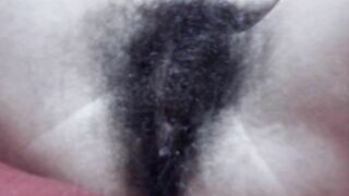fantastic bush 1 2