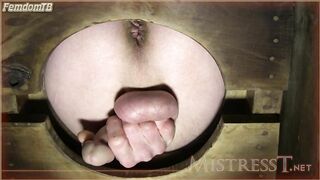 Mistress T - gay_servitude_mind_fucking