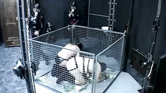 Schlagendegirls - 889