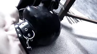 Schlagendegirls - 995