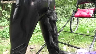 Latex Sulky Ride