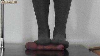 Femdom - Cock Destruction Grey Over knee Stocking